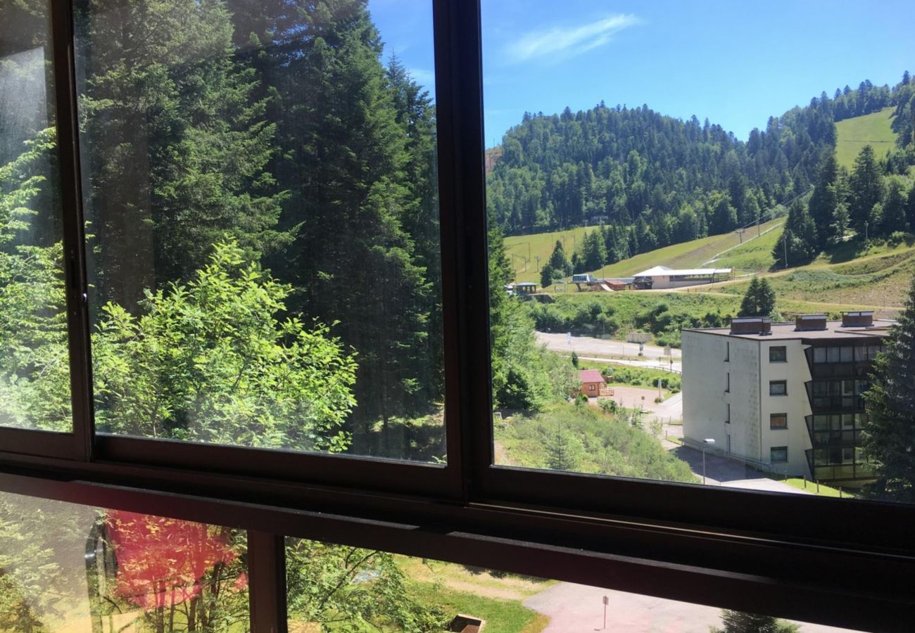 Studio in La Bresse - Le Chitelet, vue pistes, appt 215