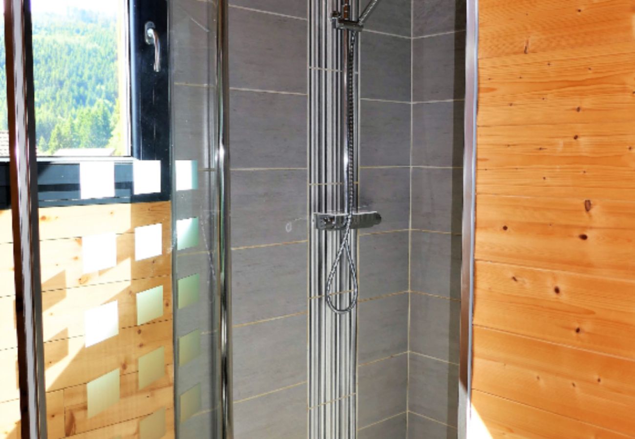 Chalet in Xonrupt-Longemer - Vue de Longemer