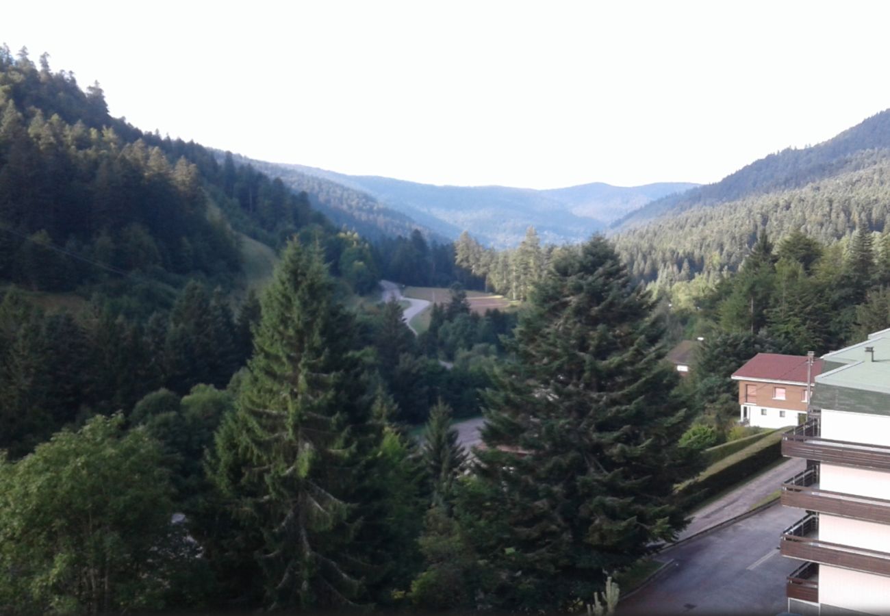 Apartment in La Bresse - Le chitelet 506, pied de pistes Hohneck
