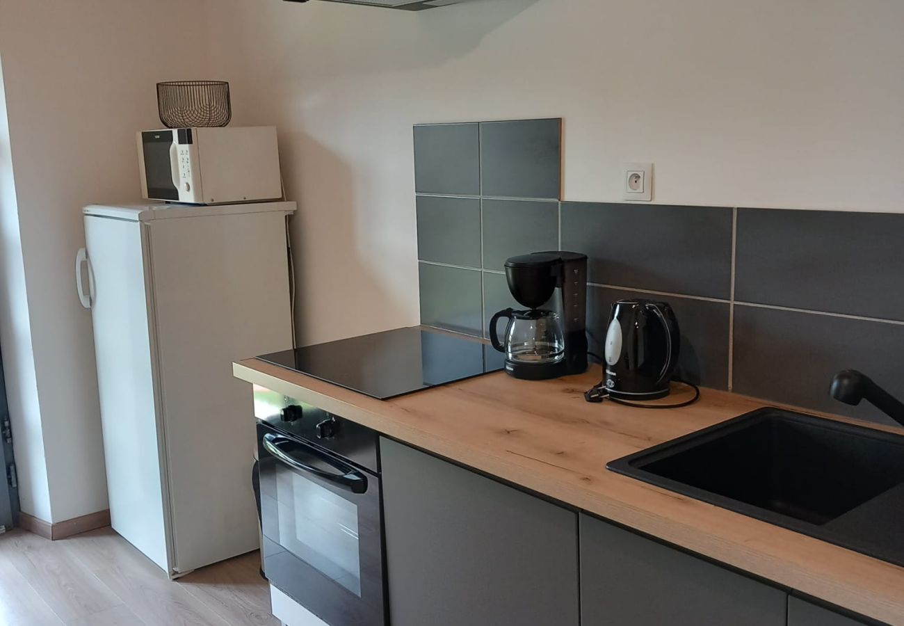 Apartamento en La Bresse - Bulles de Neige, Le Régit appartement Balnéo
