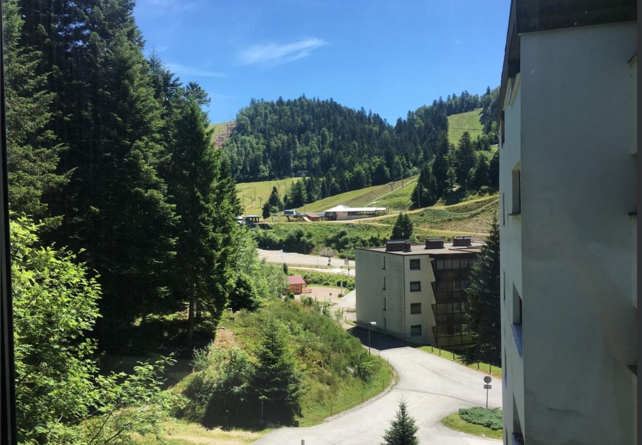 Studio à La Bresse - Le Chitelet, vue pistes, appt 215