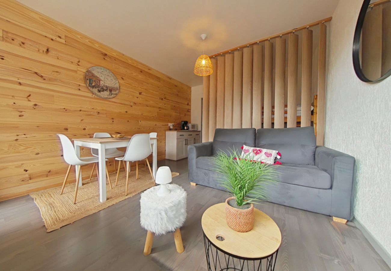 Studio à La Bresse - Le 307, Vue piste la Bresse Hohneck