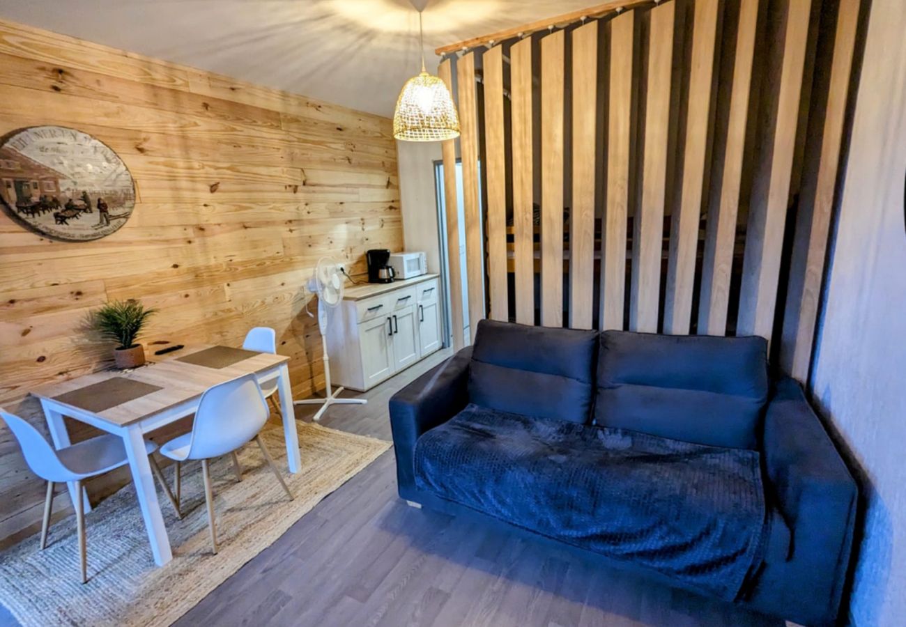 Studio à La Bresse - Le 307, Vue piste la Bresse Hohneck