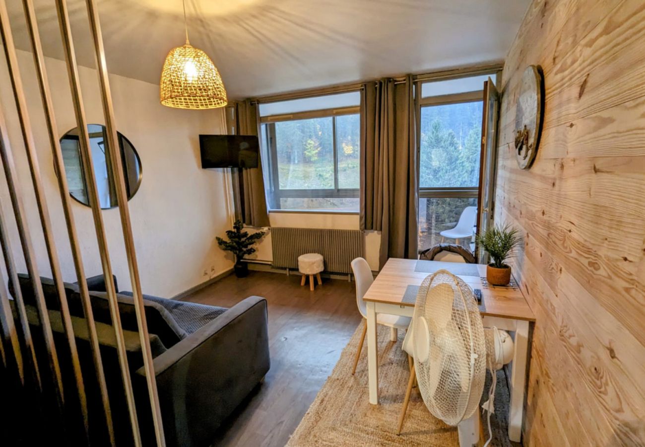 Studio à La Bresse - Le 307, Vue piste la Bresse Hohneck
